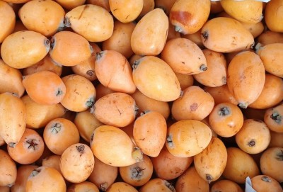 Foto Nespole Varietà Algar Calibro G Origine Spagna Marchio Ruchey 2